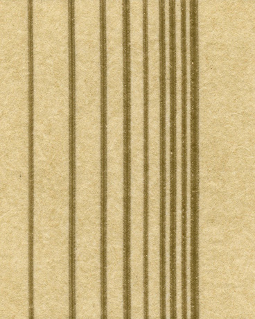 HGS-01