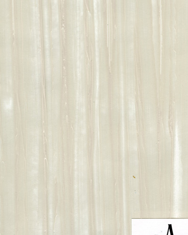 Sea Shell