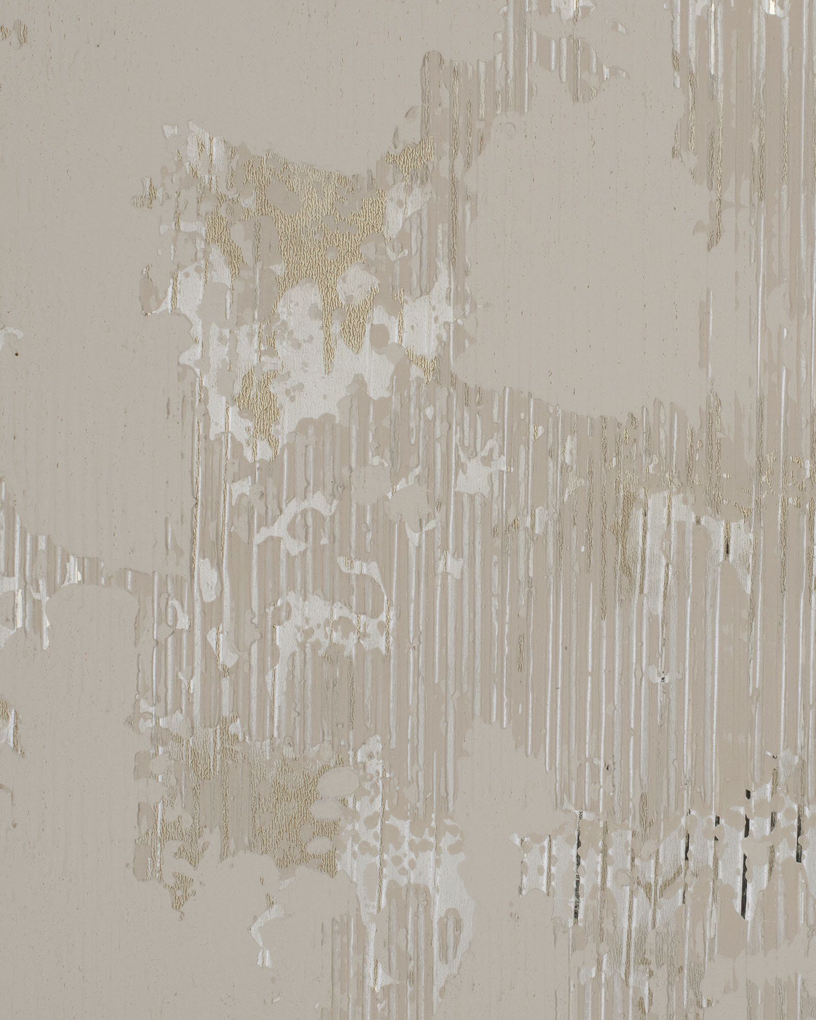 Birch (MUE1812)