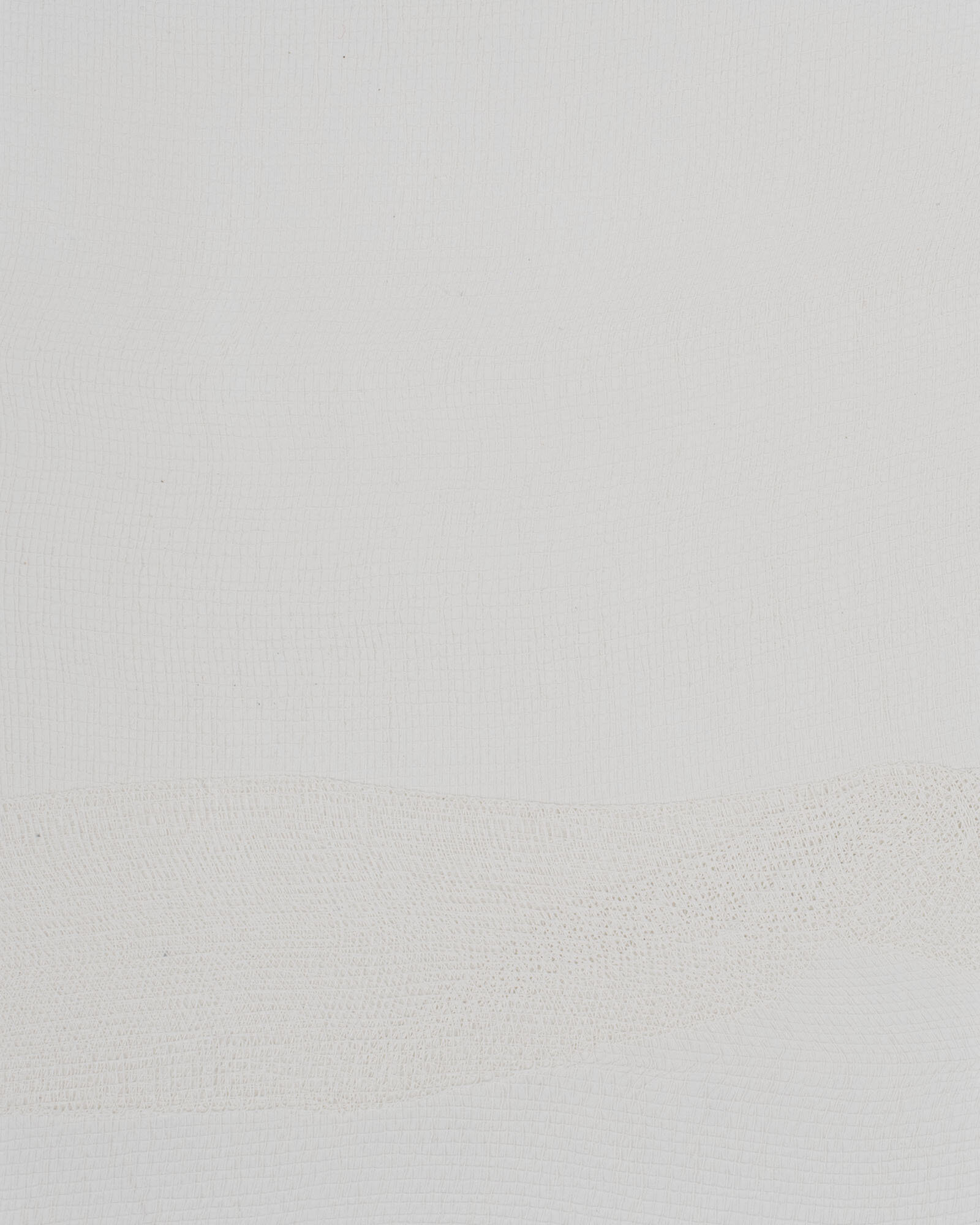 Cotton (MUE2002)