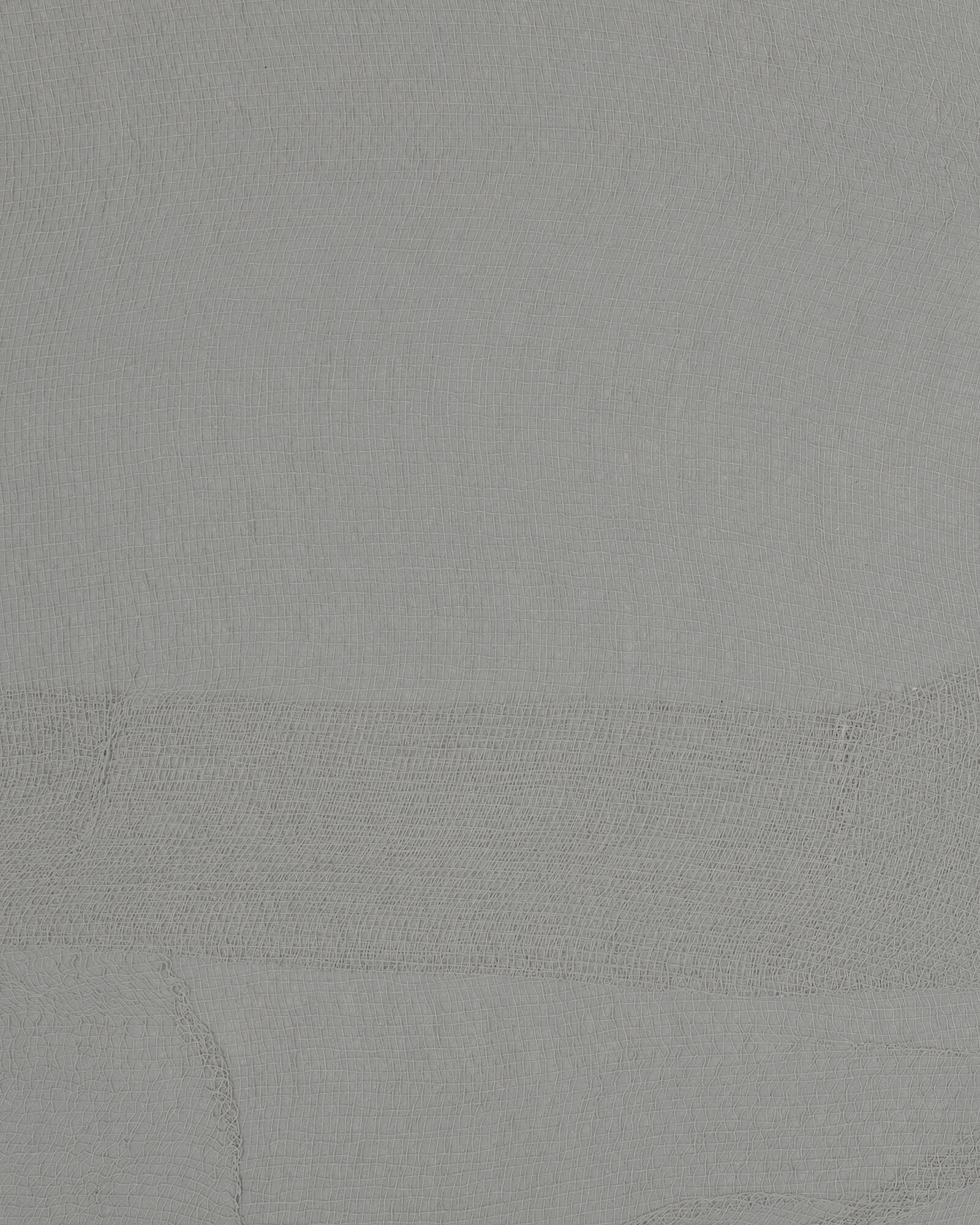 Cornflower (MUE2005)